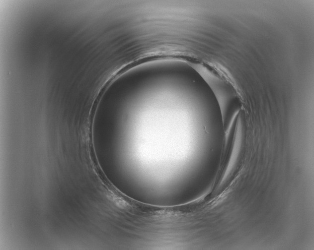 X0000074961081200609152050