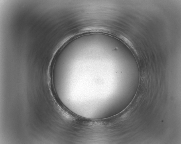 X0000074961082200609152050