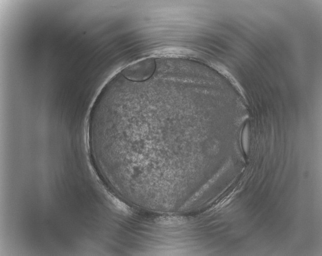 X0000074961083200609152050