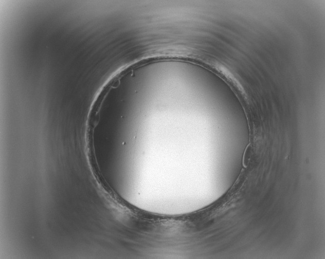 X0000074961085200609152050