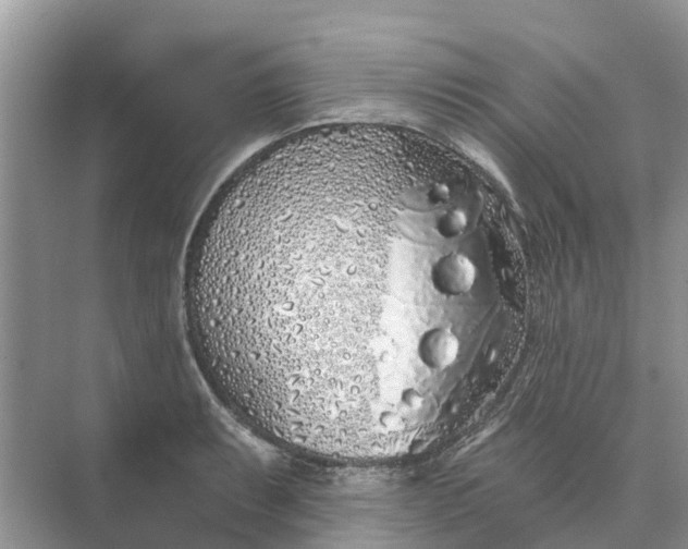 X0000074961087200609152050