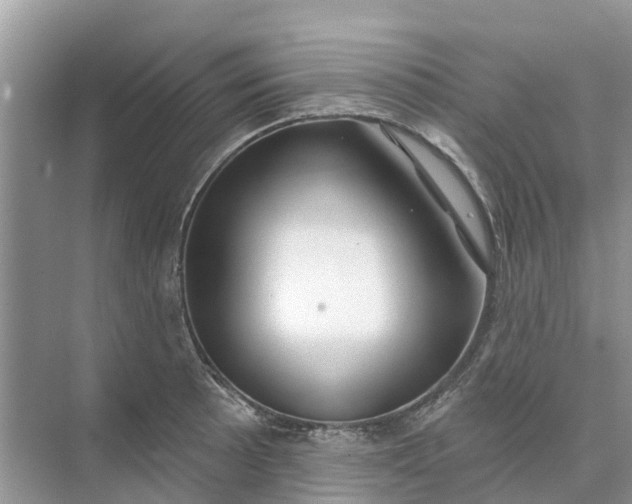 X0000074961089200609152050