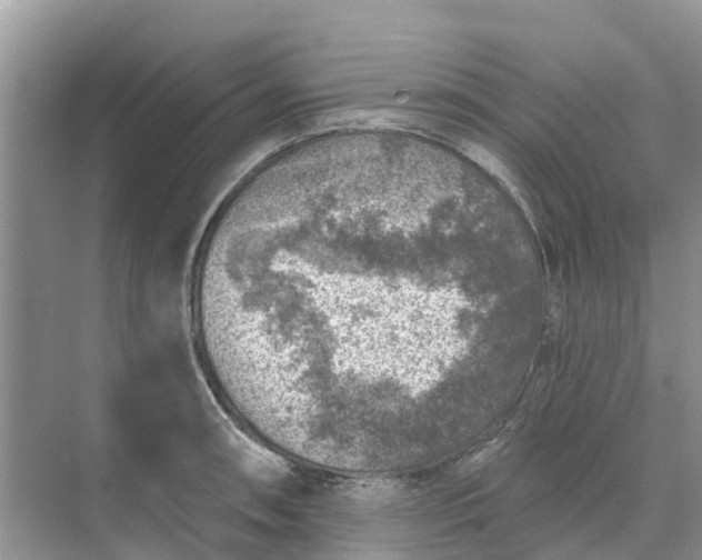 X0000074961090200609152050