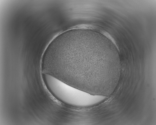 X0000074961091200609152050