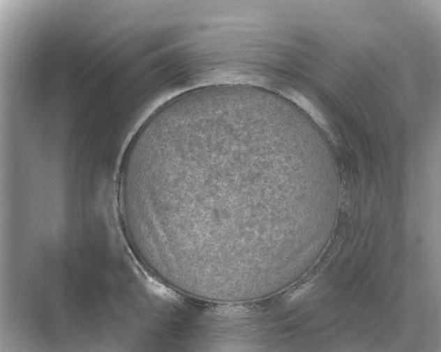 X0000074961094200609152050