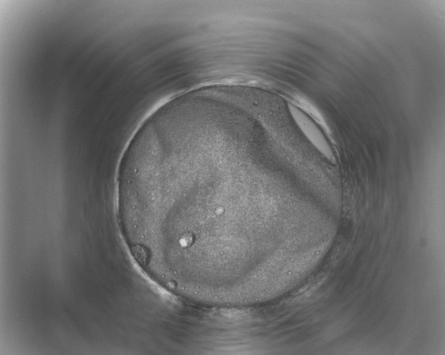 X0000074961095200609152050