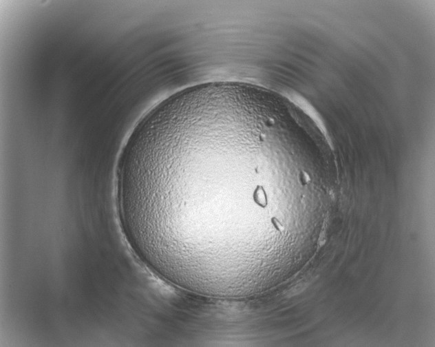 X0000074961096200609152050