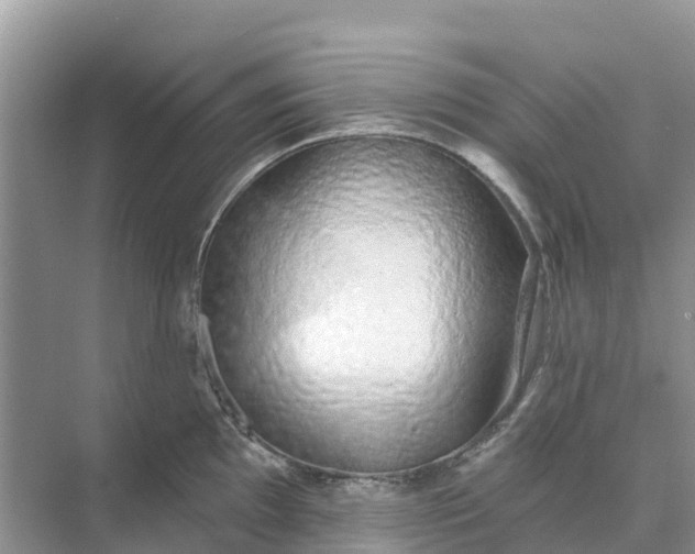 X0000074961097200609152050