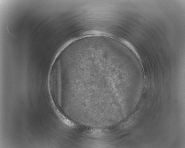 X0000074961098200609152050