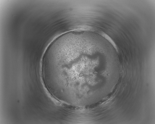 X0000074961099200609152050