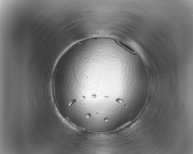 X0000074961100200609152050