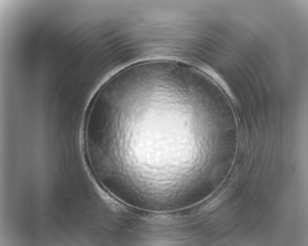 X0000074961101200609152050