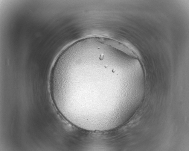 X0000074961104200609152050