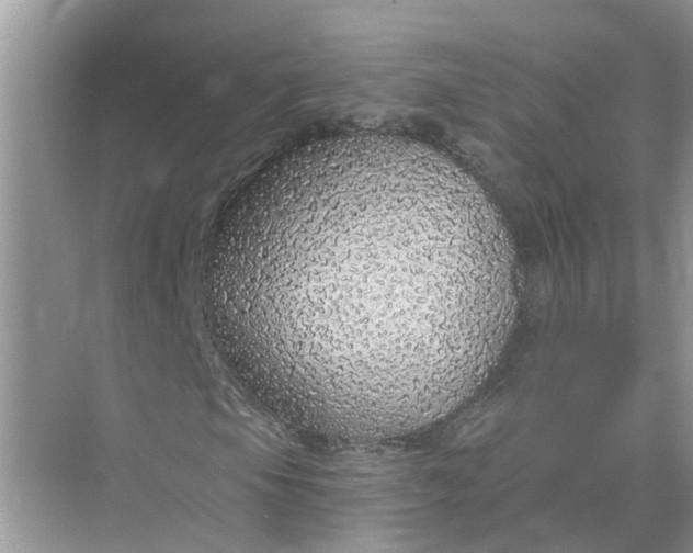 X0000074961105200609152049