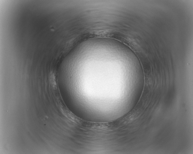 X0000074961106200609152049