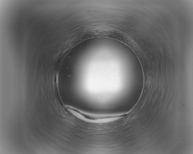 X0000074961108200609152049