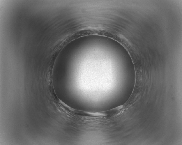 X0000074961110200609152049