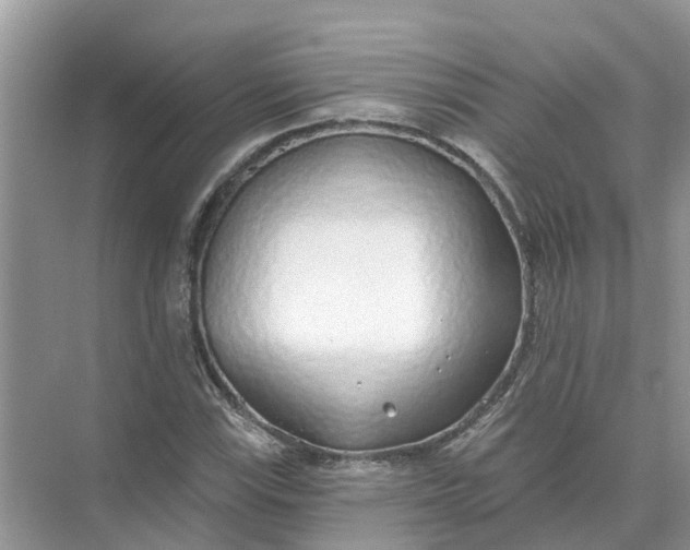 X0000074961115200609152049