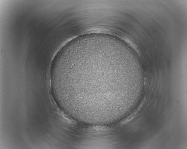 X0000074961117200609152049