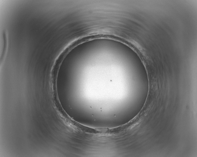 X0000074961118200609152049