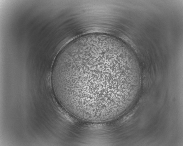 X0000074961121200609152049