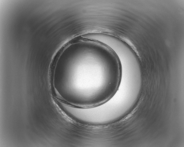 X0000074961122200609152049