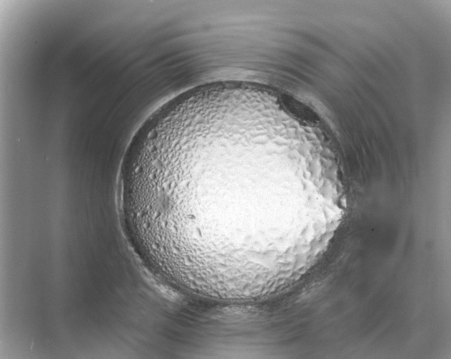 X0000074961125200609152049