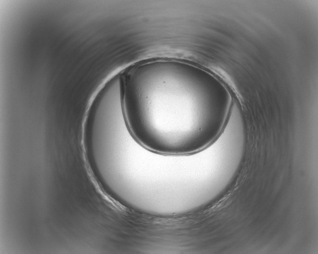 X0000074961128200609152049