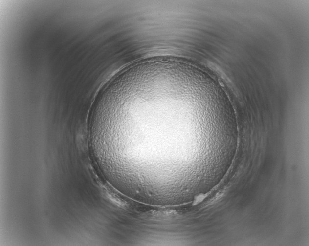 X0000074961129200609152049