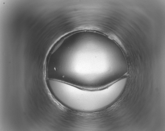 X0000074961132200609152049