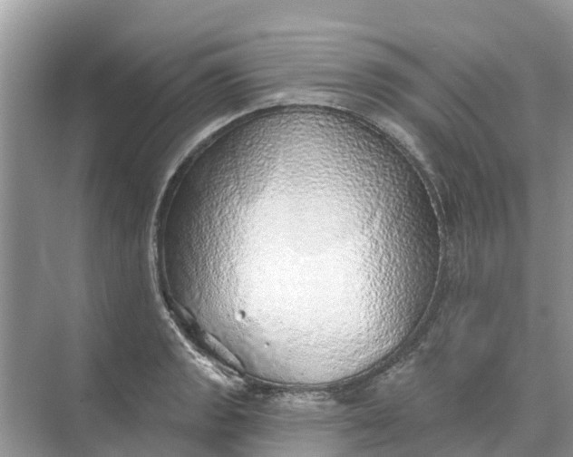 X0000074961133200609152050