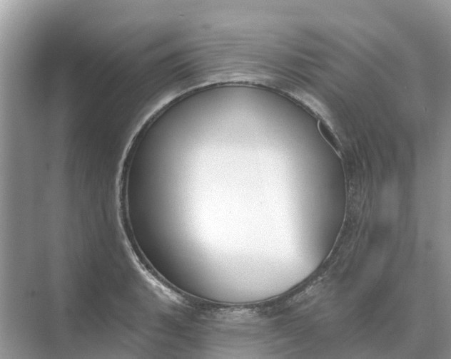 X0000074961135200609152050