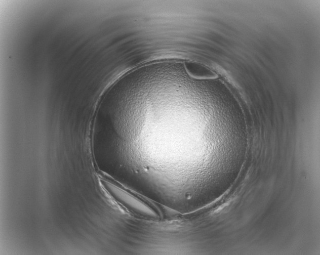 X0000074961137200609152050