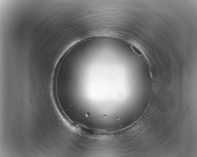 X0000074961139200609152050