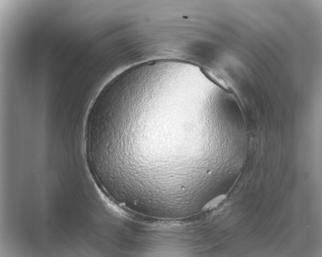 X0000074961143200609152050