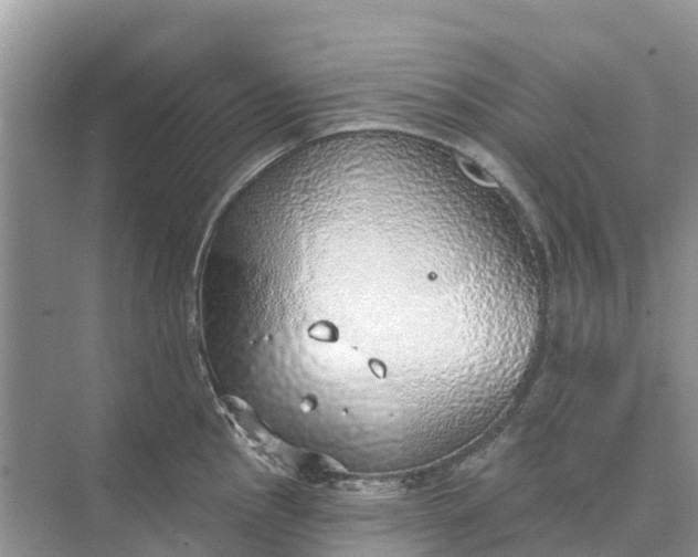 X0000074961145200609152050