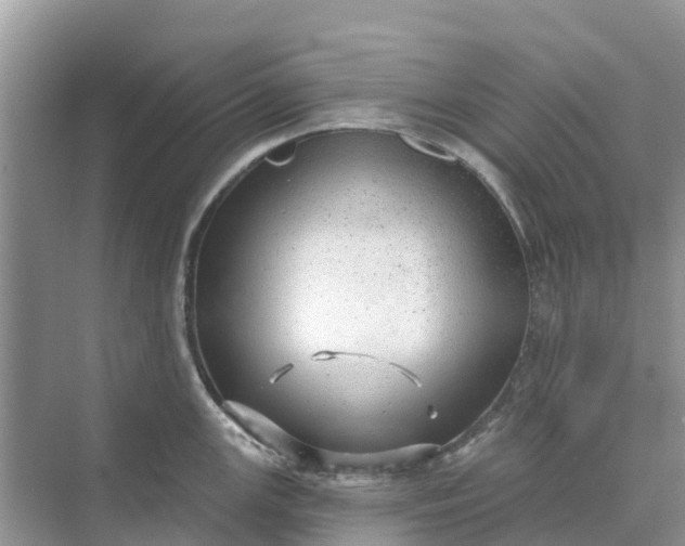 X0000074961147200609152050