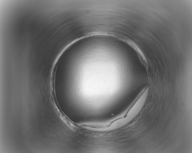 X0000074961148200609152050