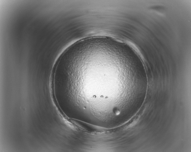 X0000074961149200609152050