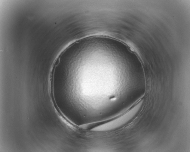 X0000074961151200609152050