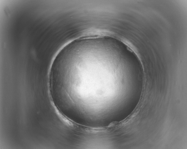 X0000074961152200609152050