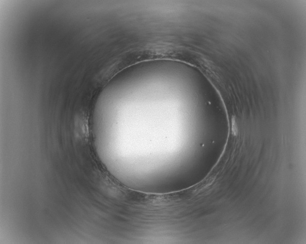 X0000074961155200609152049