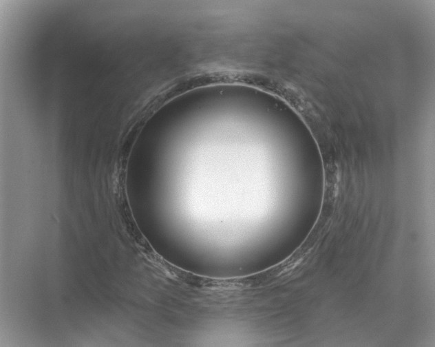 X0000074961157200609152049