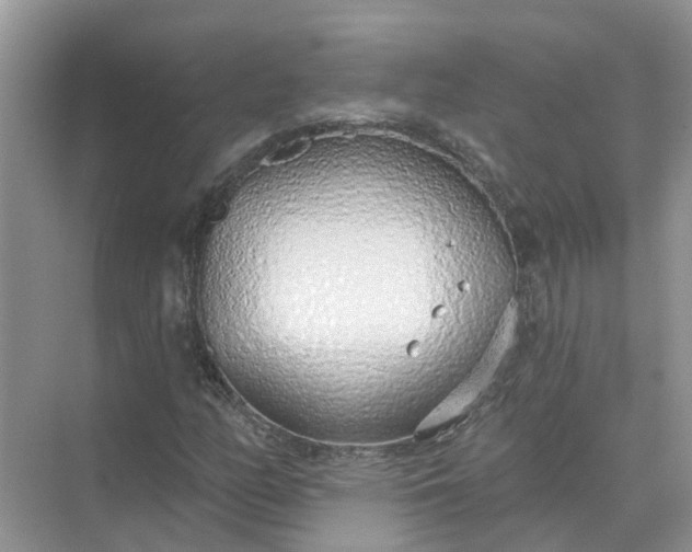 X0000074961158200609152049