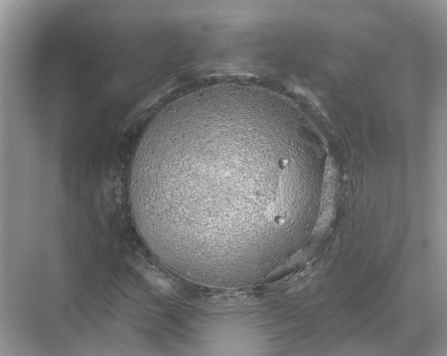 X0000074961159200609152049