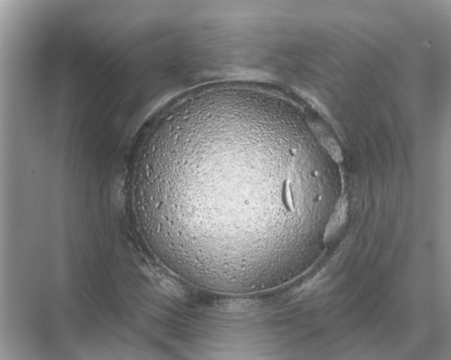 X0000074961163200609152049