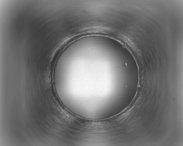 X0000074961164200609152049