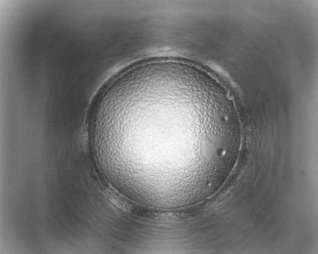 X0000074961167200609152049