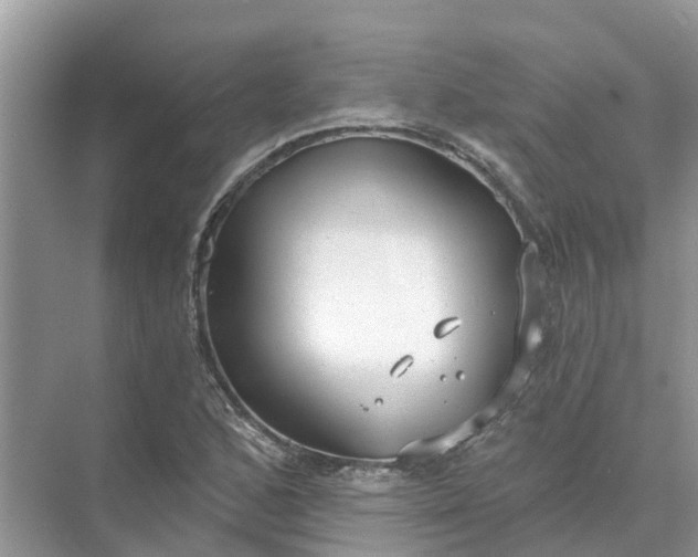 X0000074961168200609152049