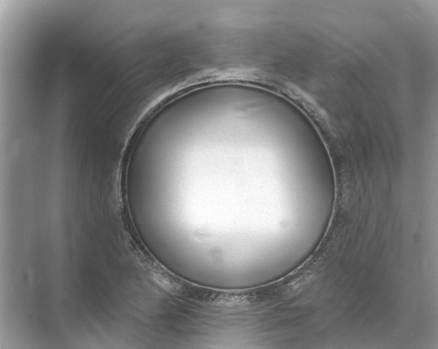 X0000074961174200609152049